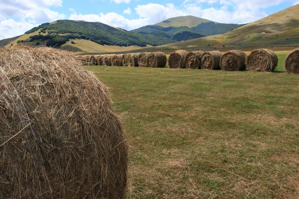 Castelluccio di Norcia — Stock Photo, Image