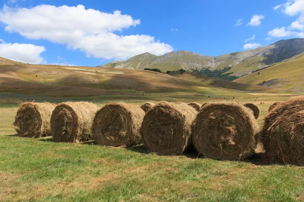 Castelluccio di Norcia — Stock Photo, Image