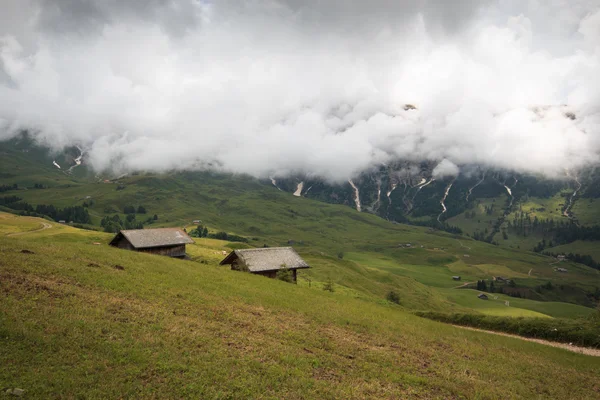 Альпе-ди-Сюси — стоковое фото