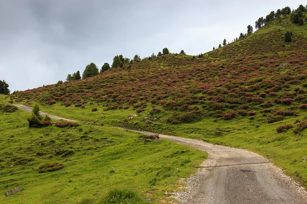 Alpe di Siusi — Fotografia de Stock