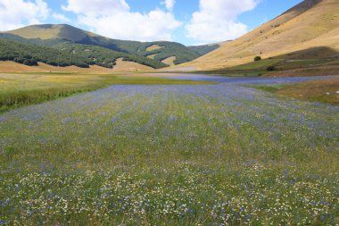 Castelluccio di Norcia