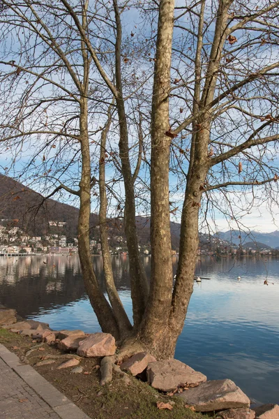 Lavena Ponte Tresa — Stok fotoğraf