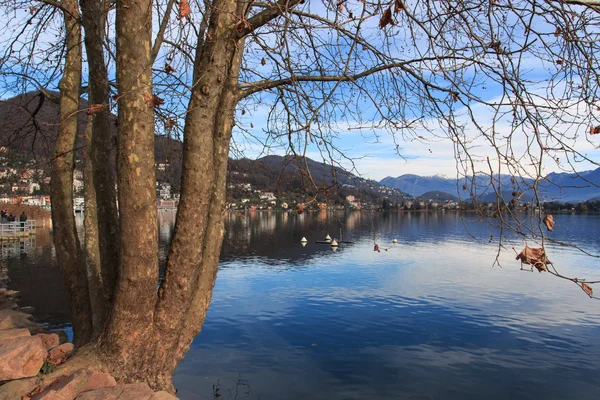 Lavena Ponte Tresa — Stok fotoğraf