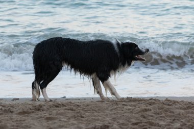 kenar kömür ocağı