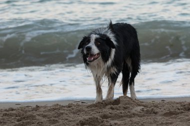 kenar kömür ocağı