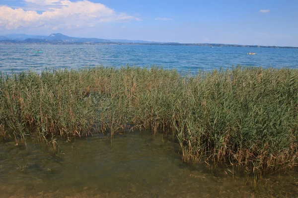 Lago di Garda-西尔米奥 — 图库照片