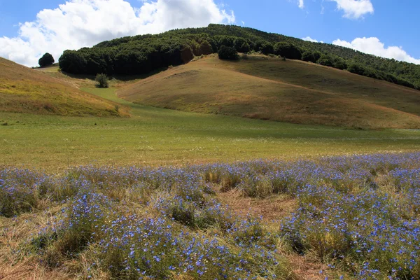 Castelluccio di Norcia - Monti Sibillini — Stock Photo, Image