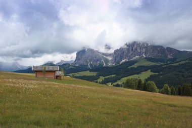 Seser Alm (Trentino Alto Adige)