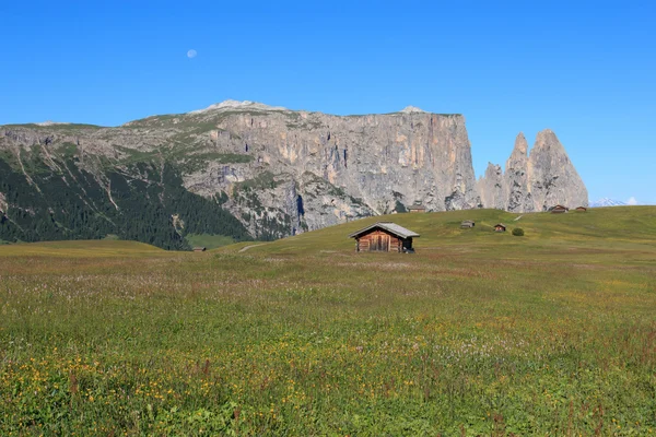 Sciliar dall'Alpe di Siusi — Foto Stock