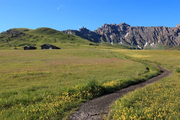 Seiser Alm (Trentino Alto Adigio ) — Foto de Stock