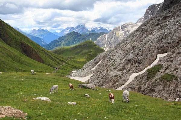 Seiser Alm (Trentino Alto Adige) — Stockfoto