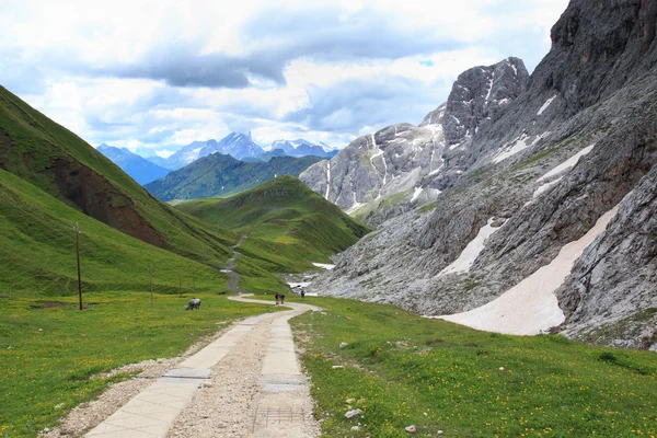 Alm Seiser (Trentino Alto Adige ) — Fotografia de Stock