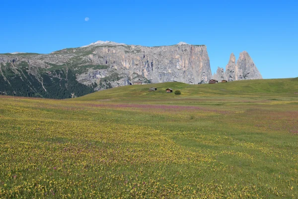 Scalare da Alpe di Siusi — Foto Stock