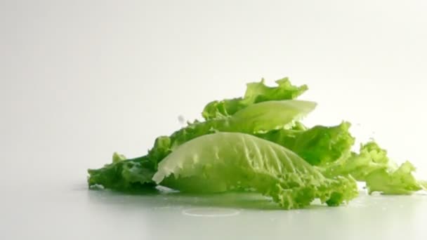 Hojas de lechuga con gotas de agua cayendo en cámara lenta — Vídeos de Stock