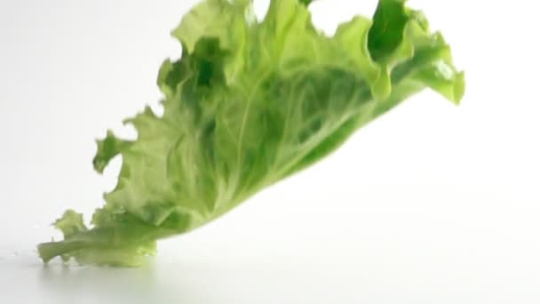 Лист салата падает на белую поверхность, замедленное движение — стоковое видео