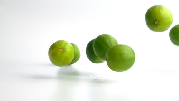 Limes wchodzących w zwolnionym tempie — Wideo stockowe