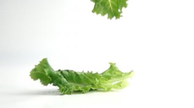  ağır çekimde beyaz üzerine düşen marul yaprakları