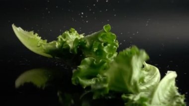 Ağır çekimde düşen su damlaları ile marul yaprakları