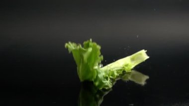 ağır çekimde siyah bir yüzeye düşen marul yaprağı