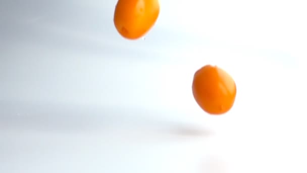 Gele tomaten op tak vallen op witte ondergrond in slow motion — Stockvideo