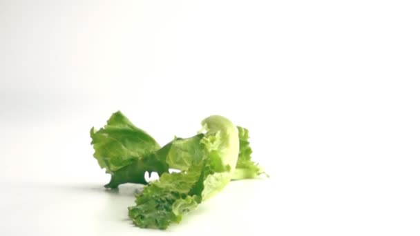 Fresh lettuce leaves falling on white background in slow motion — Stock Video