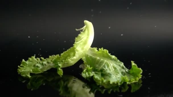 Fresh Lettuce leaves with water drops falling on black surface — Stock Video