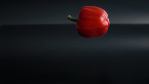 Röd paprika faller på svart bakgrund i slow motion — Stockvideo