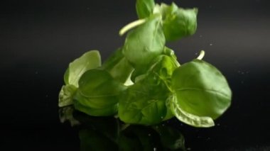 Ağır çekimde düşen su damlaları ile fesleğen yaprağı