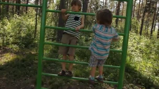 Мальчики поднимаются по лестнице на детскую площадку — стоковое видео