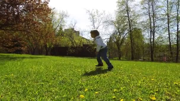 Lycklig pojke ger blommor till sin mamma. — Stockvideo