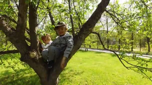 Zwei glückliche Jungen sitzen auf dem Baum — Stockvideo