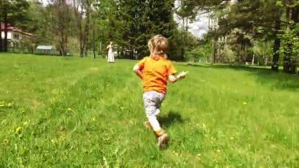 Happy little boy picked dandelions and carried them to his mother with the tablet — Stock Video