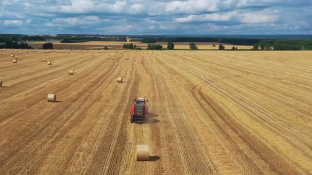 Tractor Baler Collects Straw Bales Fly Golden Wheat Field Wonderful — Stock Video