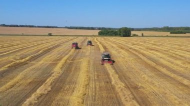 Kombine birlikler sahadan kameraya doğru hareket ediyor. Taze buğdaydan üç tane..