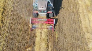 Buğday hasadını kombine eden hasatçının en üst görüntüsü. Büyük buğday tarlasında olgunlaşmış altın buğday hasadını hasat eden hasat ekicisi. Tarım endüstrisinin imajı.