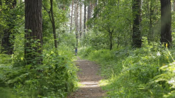 Niño montando una bicicleta en un casco en el bosque — Vídeo de stock