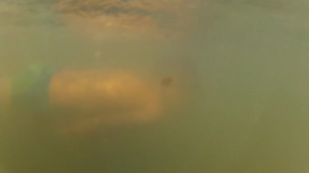 Garçon nageant sous l'eau dans la rivière 