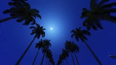 Ay ışığı gece sokakta Palm