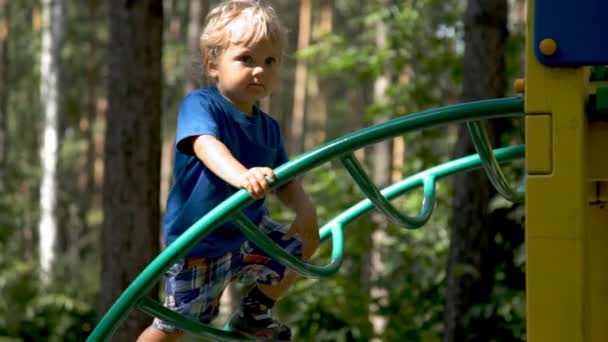 Oyun parkında oynayan küçük çocuk — Stok video