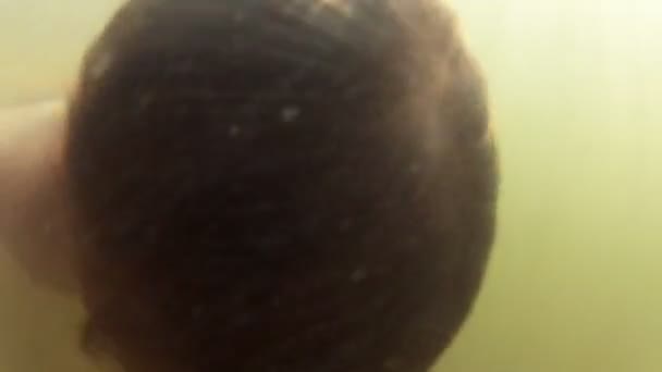 Хлопчик, плавання під водою — стокове відео