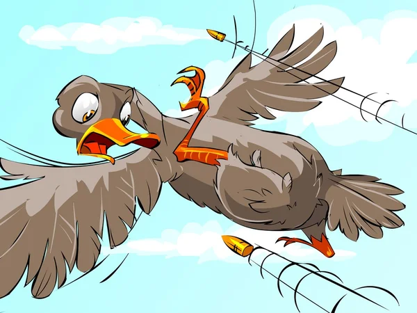 Испуганная утка летит от пули — стоковое фото
