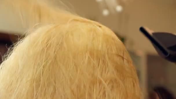 Saç kurutma makinesi ile uzun sarı saç kurutma. — Stok video