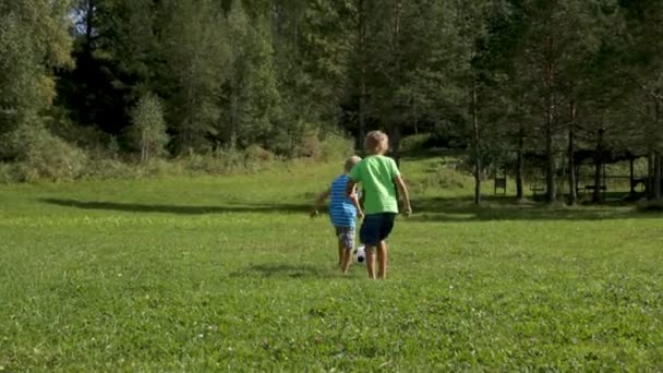 Topu bir parkta oynayan çocuklar — Stok video