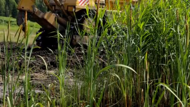 Visa från träsket. Bulldozer traktor fungerar på flyttar jord och leveling marken. — Stockvideo