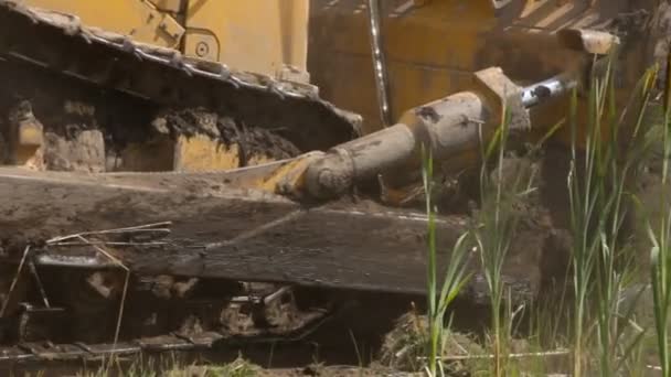 Trator Bulldozer trabalha em solo em movimento em pântanos — Vídeo de Stock