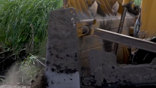 Close up view of bulldozer tractor works at moving soil in marshland. — Stock Video