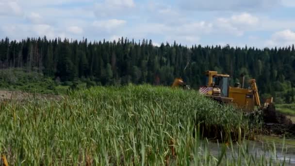 Bulldozer traktorn flyttar jord i träsk. — Stockvideo