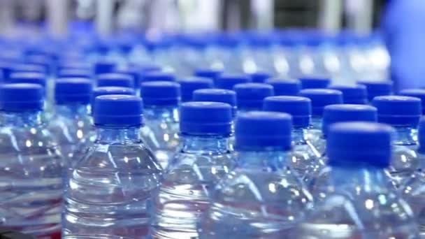 Fließband. Wasserflaschen-Förderindustrie. — Stockvideo