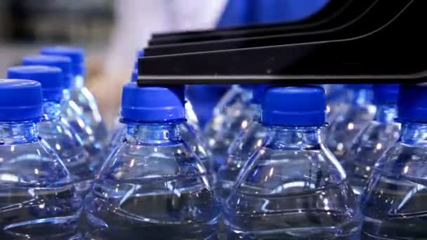 多くのボトル入りの水は、工場でベルトコンベアで移動します。キャップに印刷されたロゴ. — ストック動画