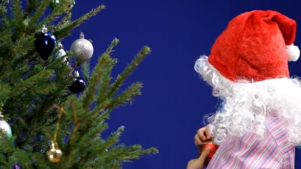 Boy in santa hat decorating Christmas tree — Stock Video